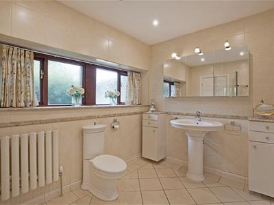 Picture 21